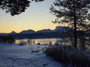 Budget Trip To Tromsø - Northern Lights & Wild Life - The Hyperborean Spell