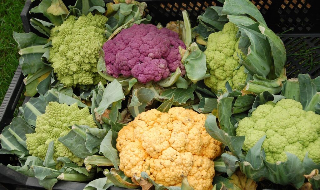 color cauliflower