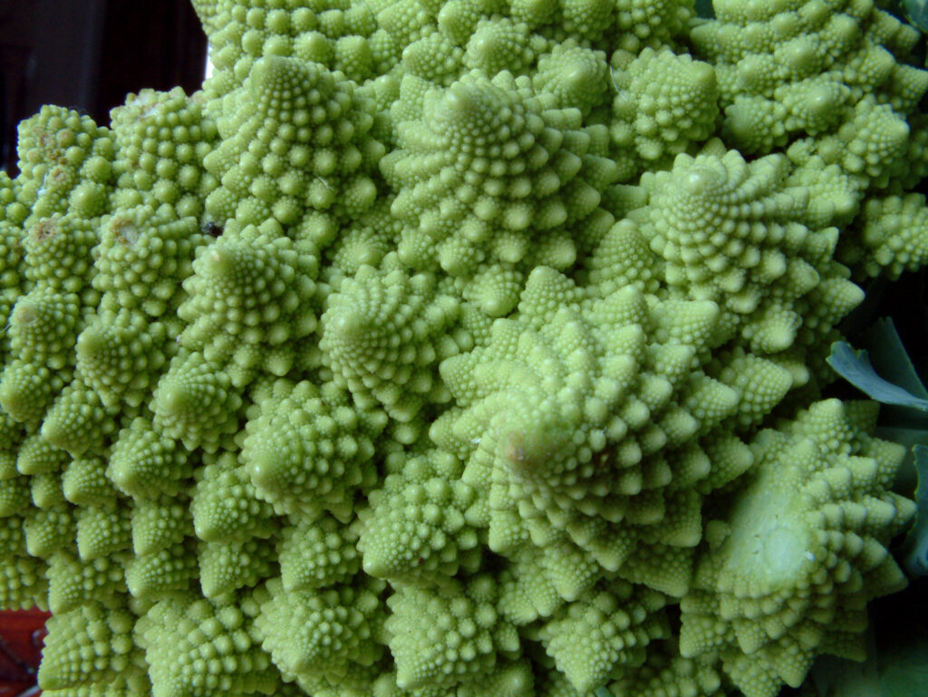 romanesca green cauliflower